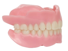 Example denture from the original 3D Dental website